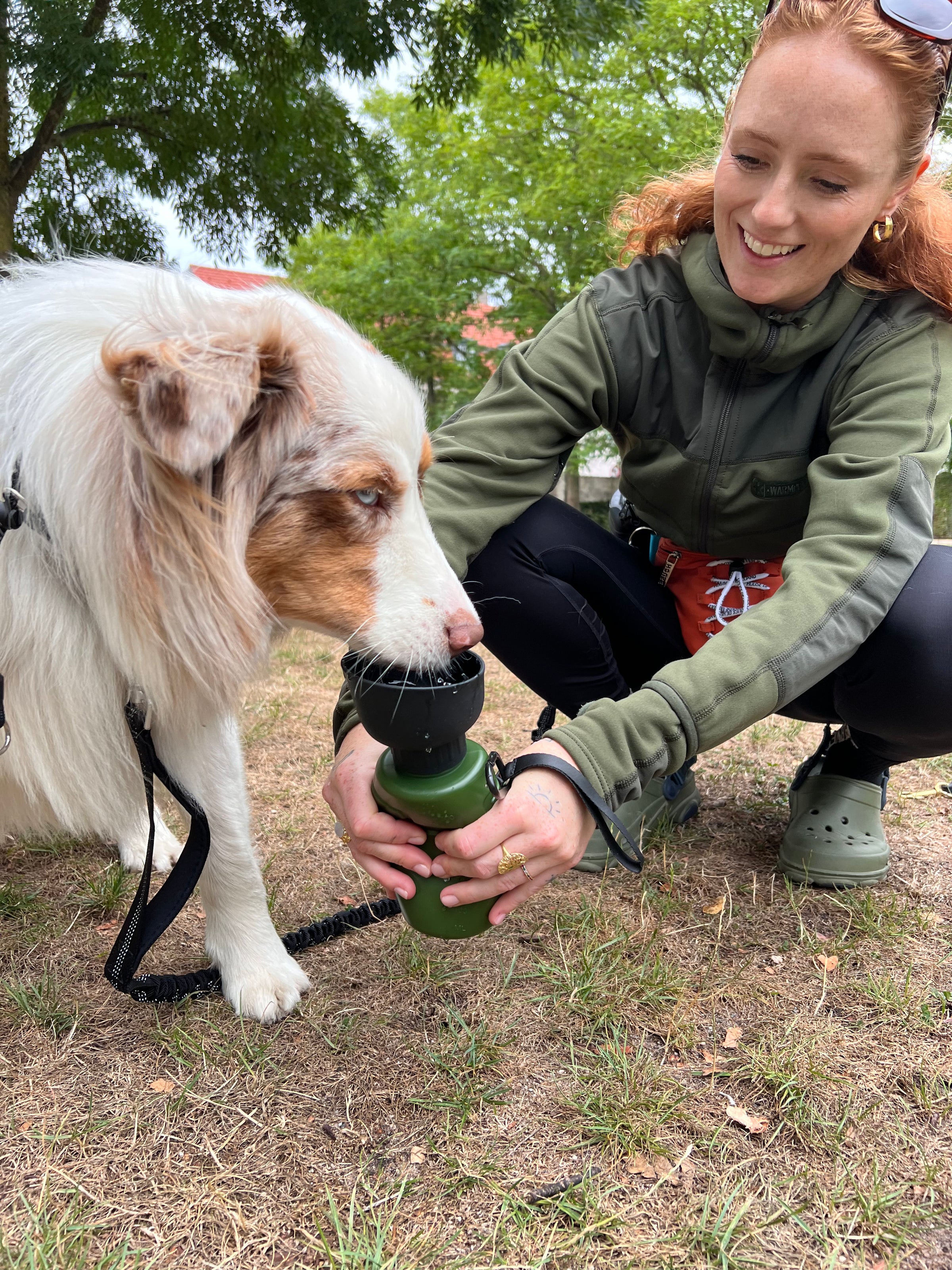MyPetPassion