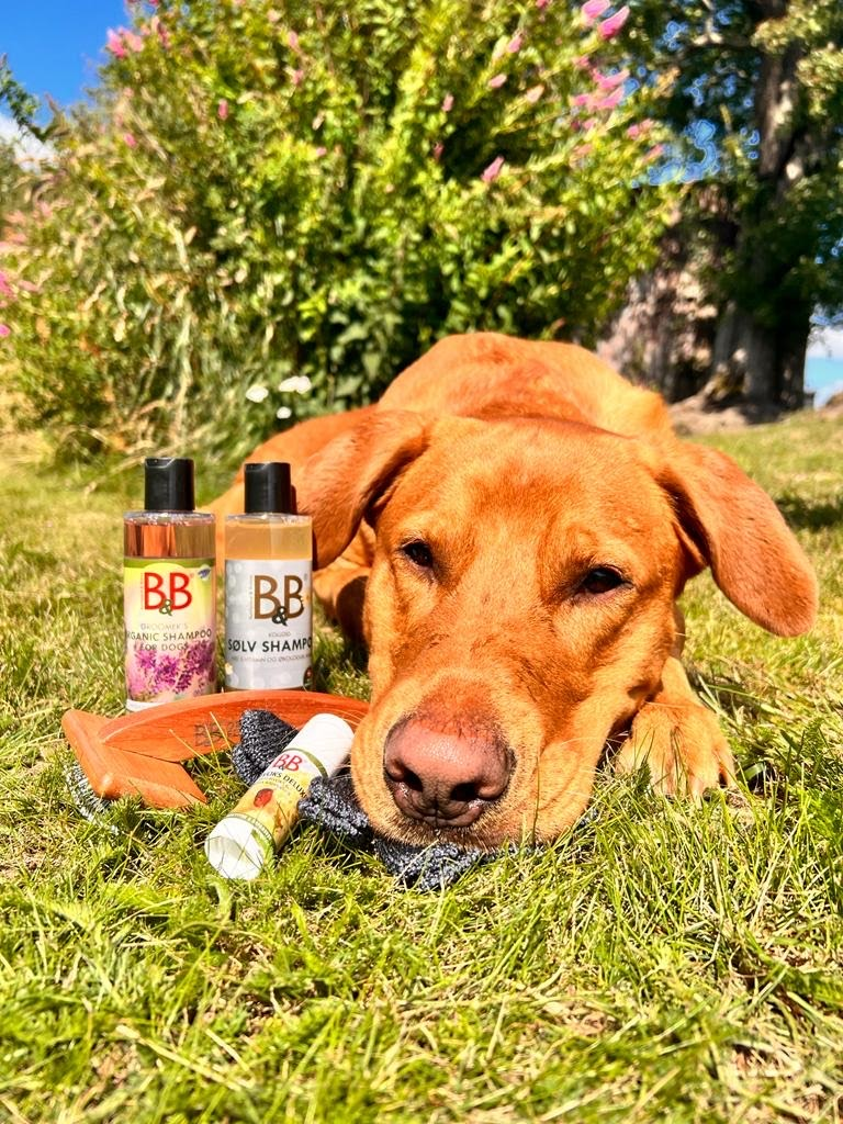 B&b groomers organic shampoo for dogs hot sale