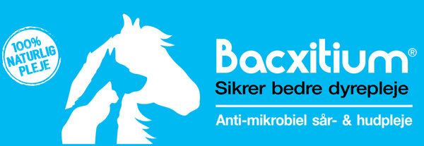 Bacxitium - din nye tilføjelse til førstehjælpskassen! Men hvordan virker det?