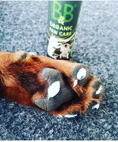 B&B Organic Paw Care