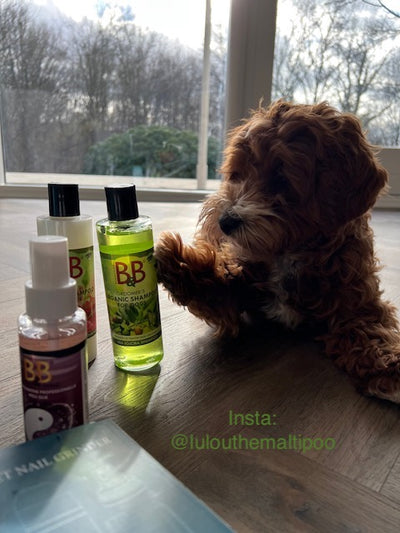 B&B Økologisk Jojoba Shampoo