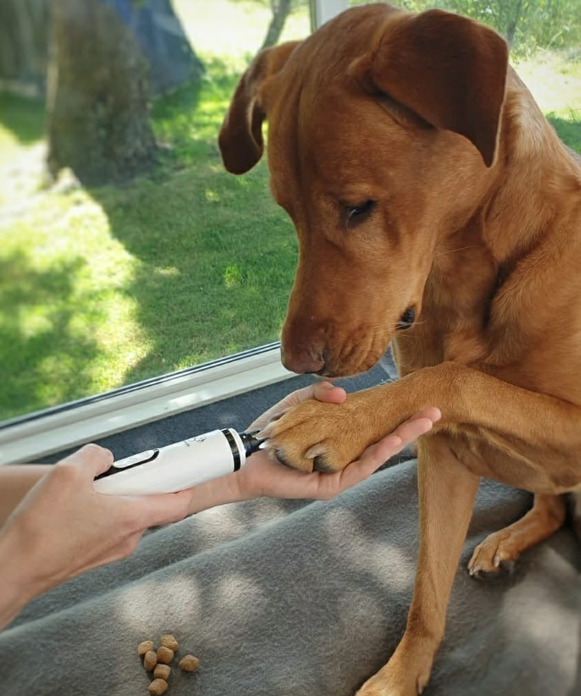 Støjsvag Elektrisk Neglesliber til Hunde og Katte