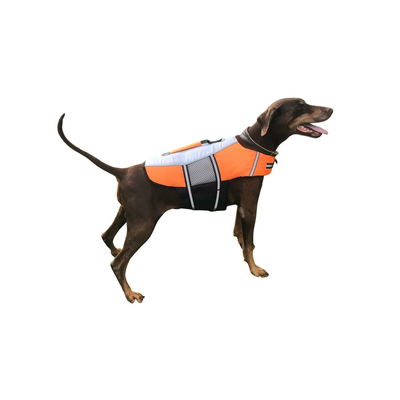 The Orange Lifejacket