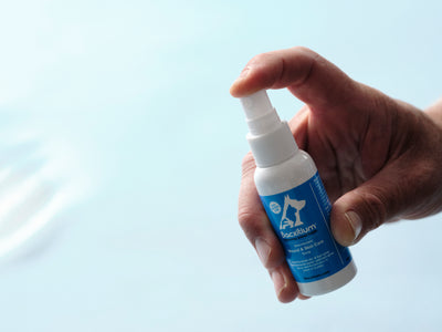 Bacxitium® 50 ml sprayflaske til mindre sår og rifter