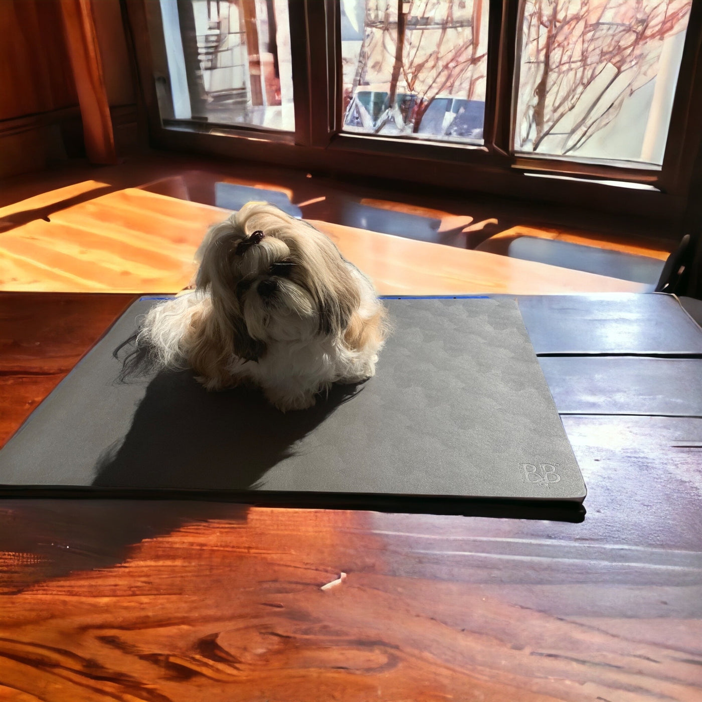 Dog 2024 grooming mat