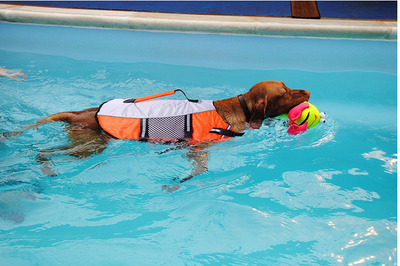 The Orange Lifejacket