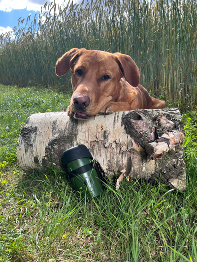 Collapsible Pet Water Bottle