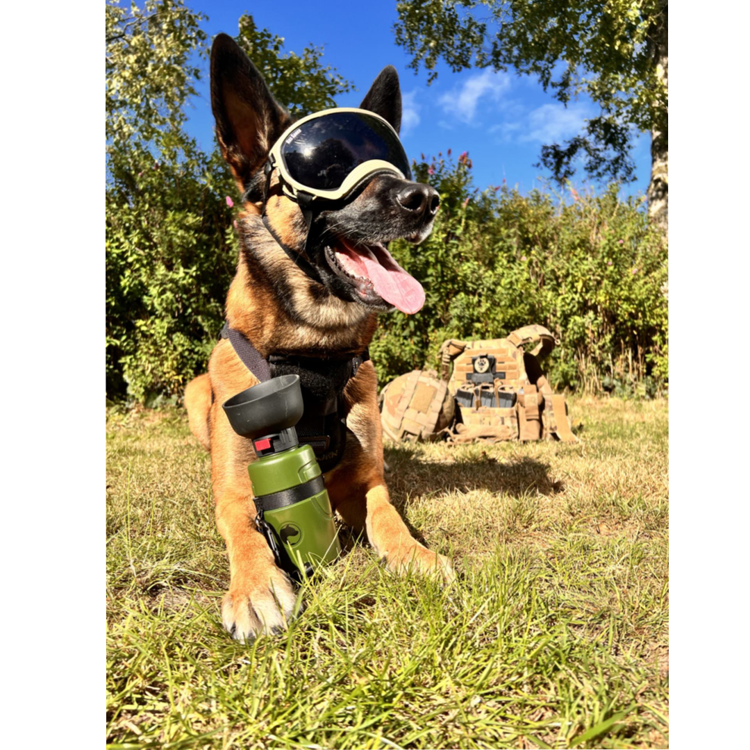 Collapsible Pet Water Bottle